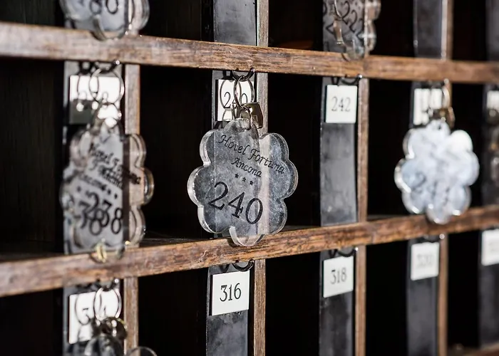 酒店 福尔图纳酒店 3*