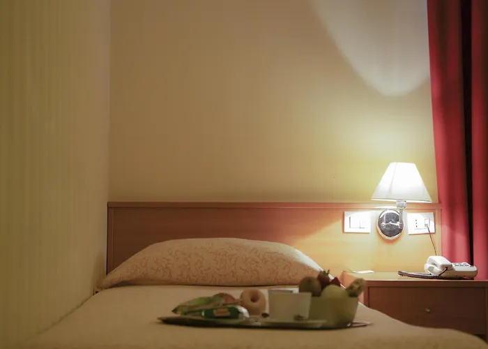 福尔图纳酒店 3*